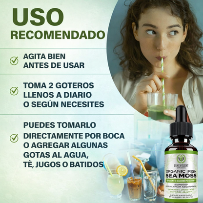 CLOROFILA BALANCE – DIGESTIÓN + FRESCURA DIARIA